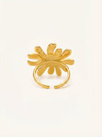 The Soleil Ring