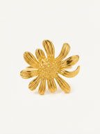 The Soleil Ring