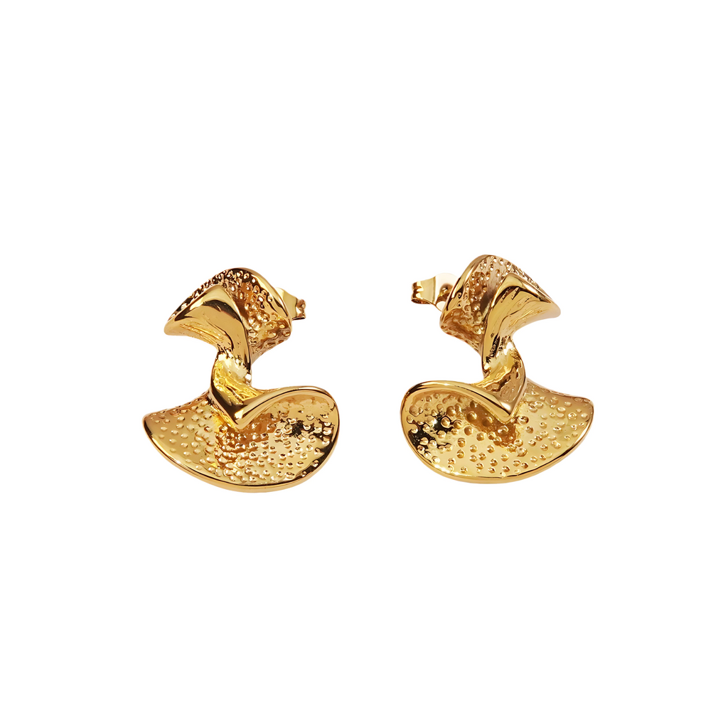 Ballet Style Earrings