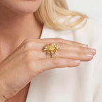 The Soleil Ring