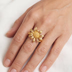 The Soleil Ring
