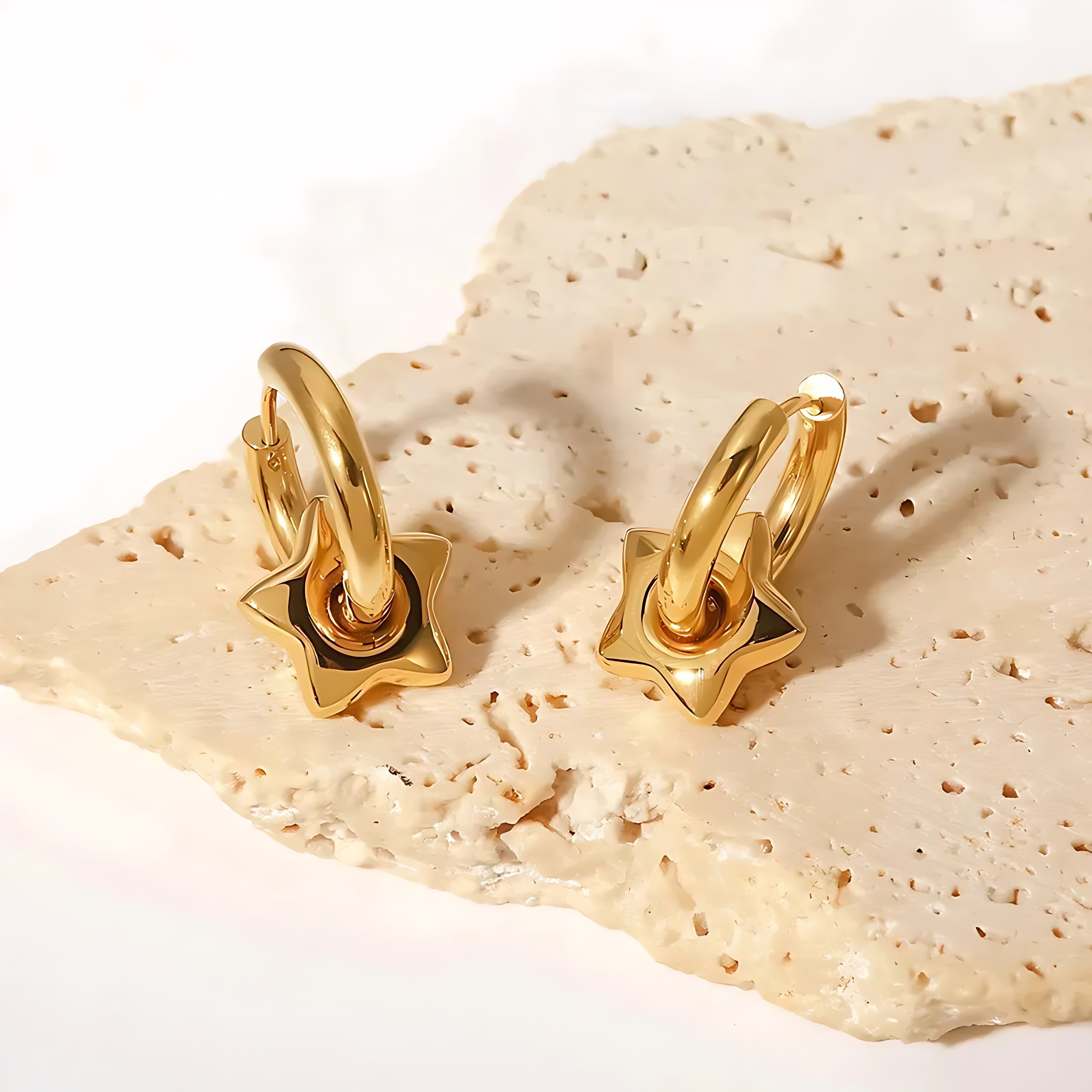 Fashion Star Plating Stainless Steel Gold Plated Earrings - Mirellien Jewelry